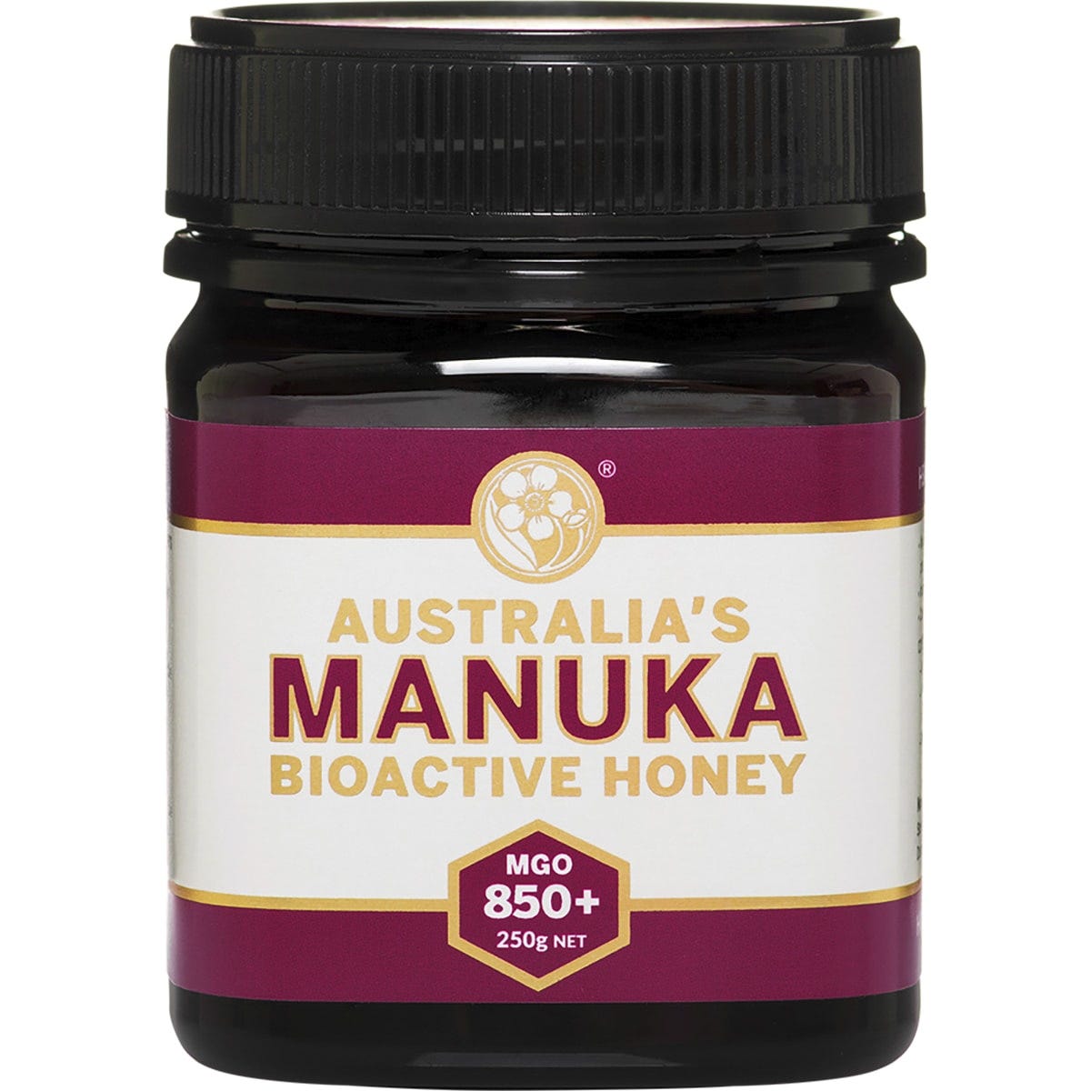 Bioactive Honey MGO850+ 250g