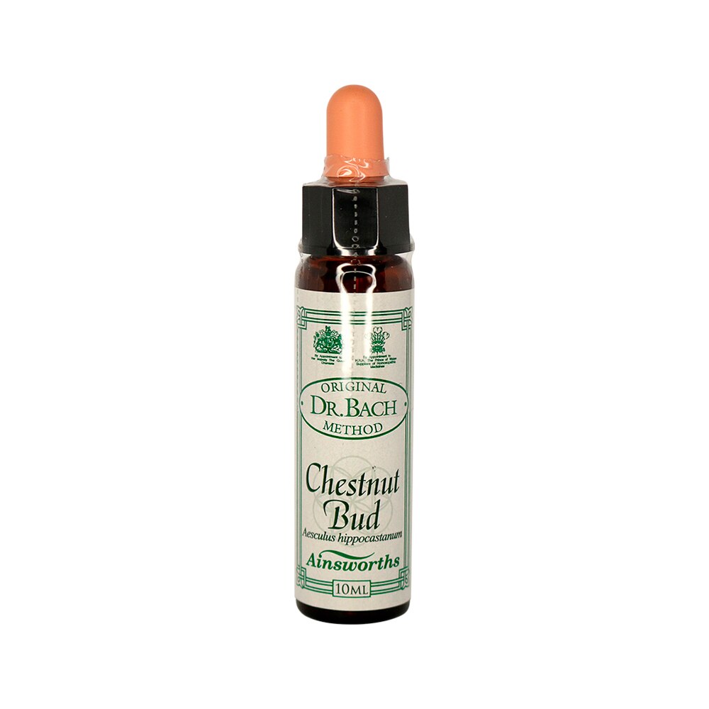 Ainsworths Dr Bach Flower Essence Chestnut Bud 10ml