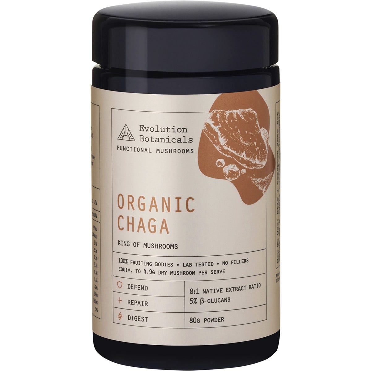 Organic Chaga King of Mushrooms 80g