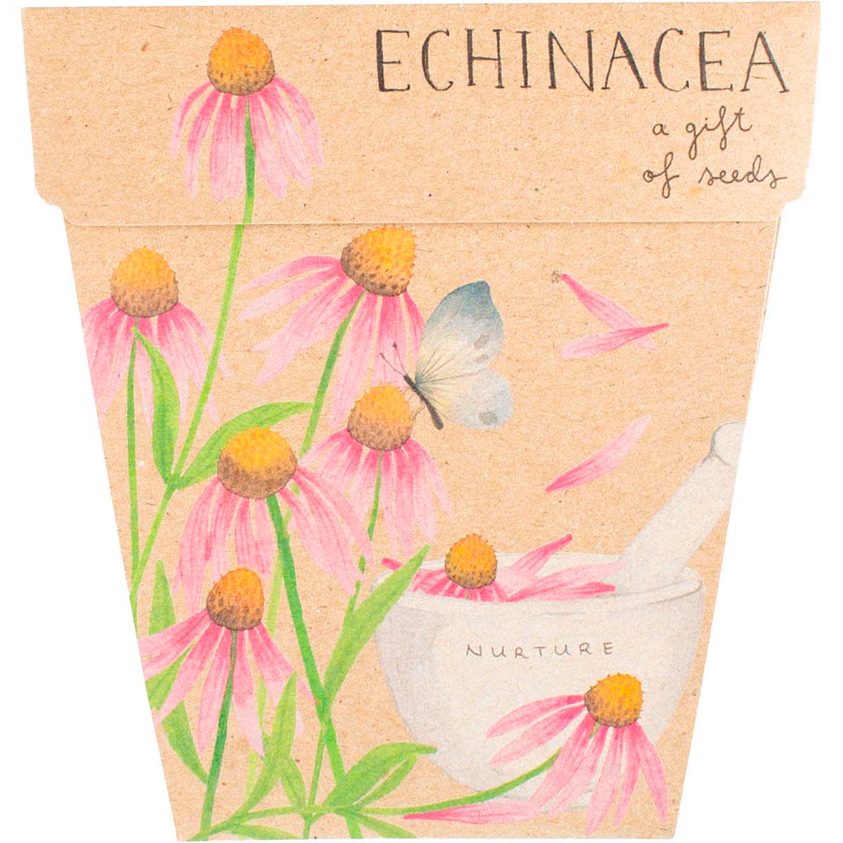 Gift of Seeds Echinacea