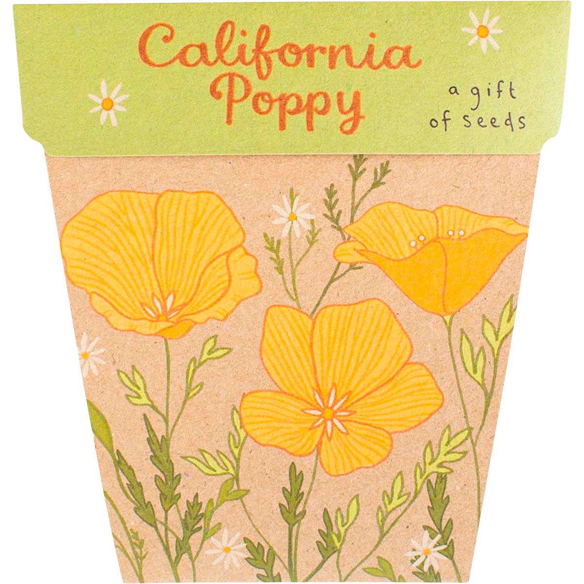 Gift of Seeds California Poppy