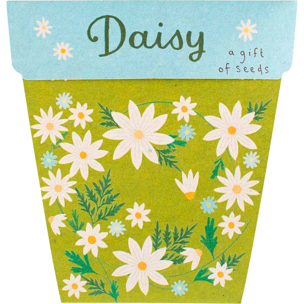 Gift of Seeds Daisy