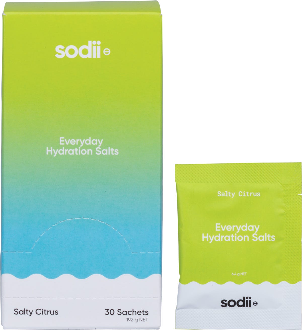 Everyday Hydration Salts Salty Citrus 30pk