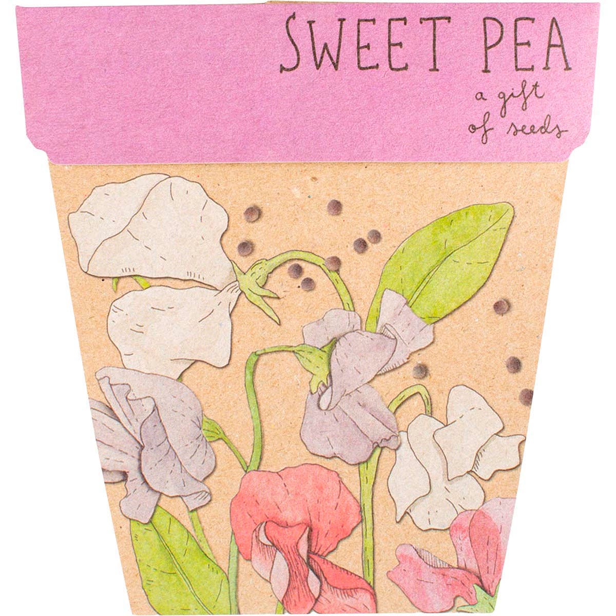 Gift of Seeds Sweet Pea