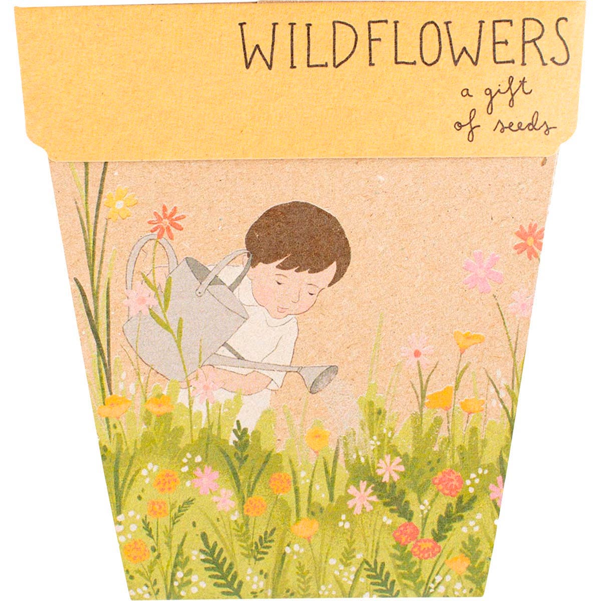 Gift of Seeds Wildflowers