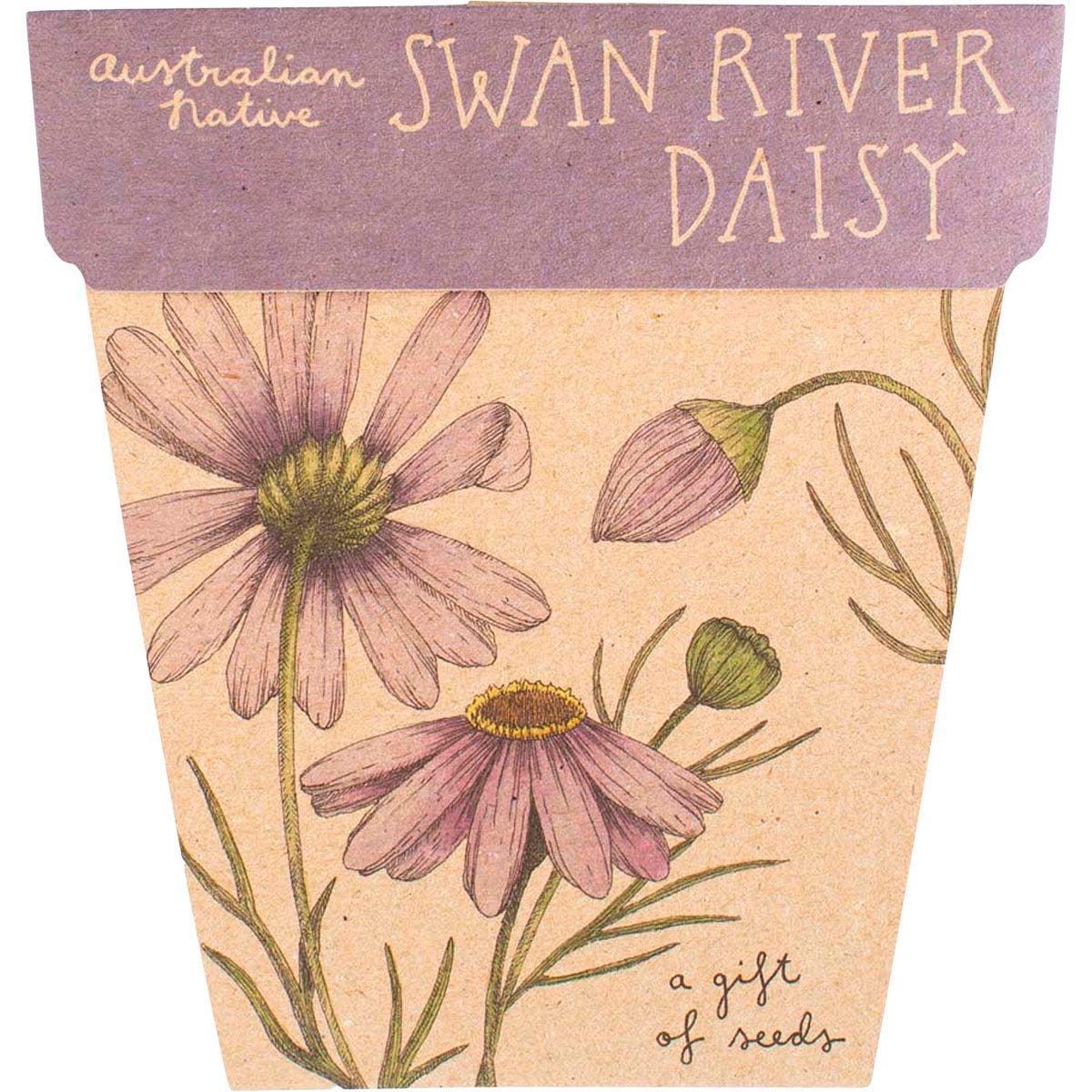 Gift of Seeds Swan River Daisy